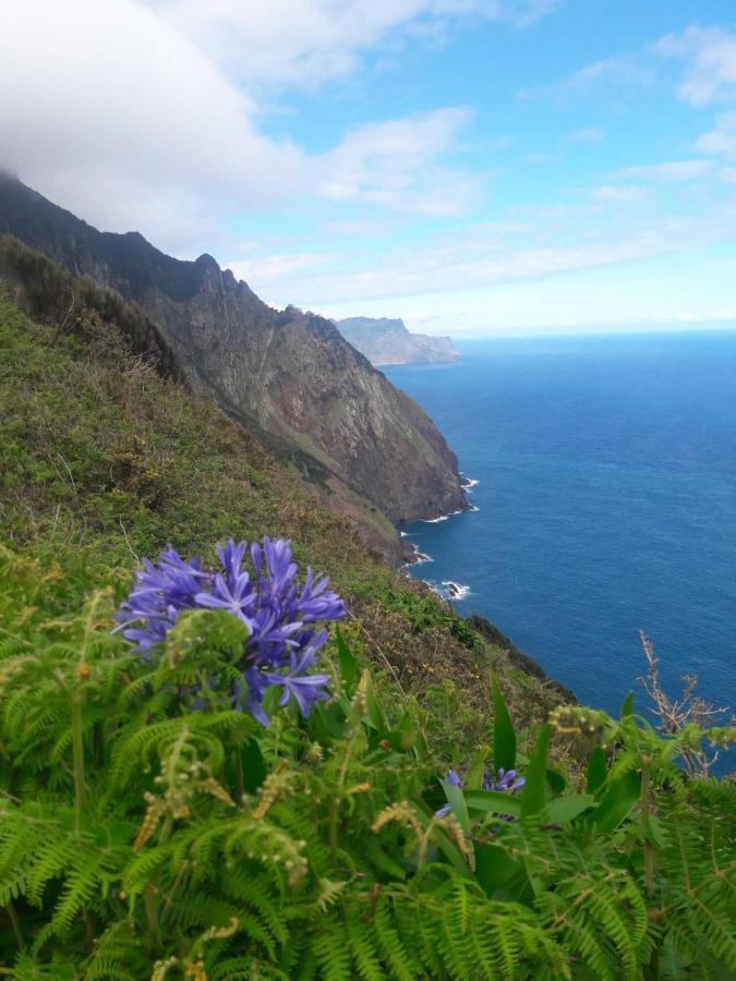 Funchal Bay View Holiday Rental Экстерьер фото